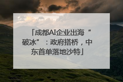 成都AI企业出海“破冰”：政府搭桥，中东首单落地沙特