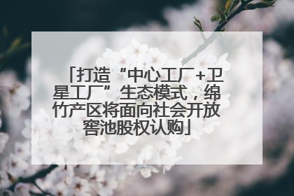 打造“中心工厂+卫星工厂”生态模式，绵竹产区将面向社会开放窖池股权认购