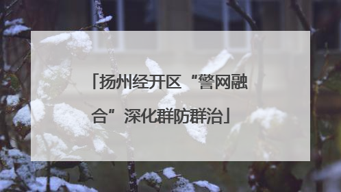 扬州经开区“警网融合”深化群防群治
