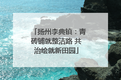 扬州李典镇：青砖铺就整洁路 共治绘就新田园