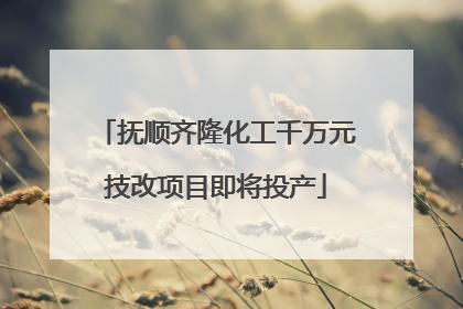 抚顺齐隆化工千万元技改项目即将投产