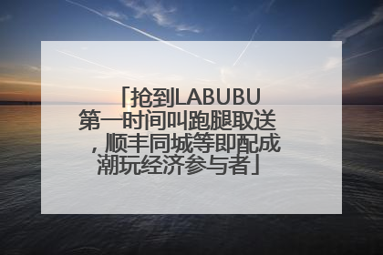 抢到LABUBU第一时间叫跑腿取送，顺丰同城等即配成潮玩经济参与者