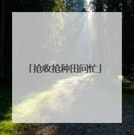抢收抢种田间忙