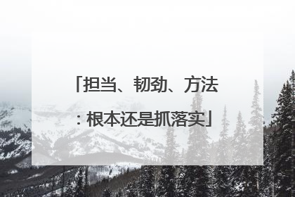 担当、韧劲、方法：根本还是抓落实