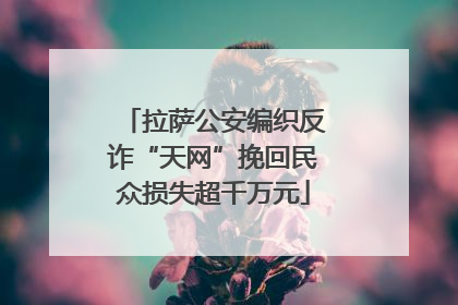 拉萨公安编织反诈“天网”挽回民众损失超千万元