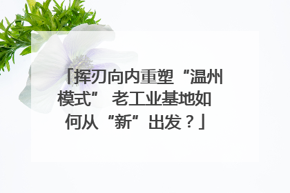 挥刃向内重塑“温州模式” 老工业基地如何从“新”出发？