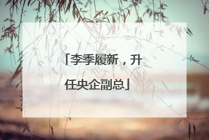 李季履新，升任央企副总