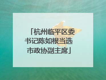 杭州临平区委书记陈如根当选市政协副主席