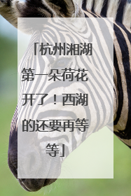 杭州湘湖第一朵荷花开了！西湖的还要再等等