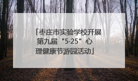 枣庄市实验学校开展第九届“5·25”心理健康节游园活动