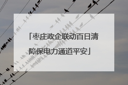 枣庄政企联动百日清障保电力通道平安