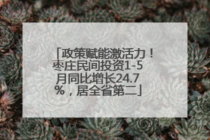 政策赋能激活力！枣庄民间投资1-5月同比增长24.7%，居全省第二