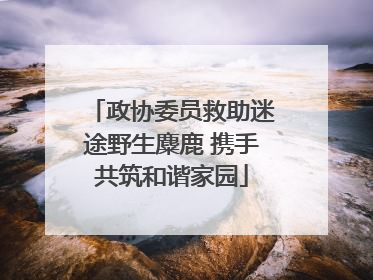 政协委员救助迷途野生麋鹿 携手共筑和谐家园