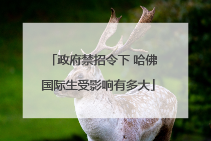 政府禁招令下 哈佛国际生受影响有多大