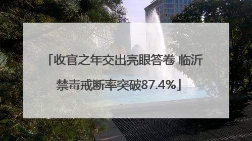 收官之年交出亮眼答卷 临沂禁毒戒断率突破87.4%