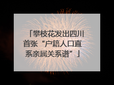 攀枝花发出四川首张“户籍人口直系亲属关系谱”