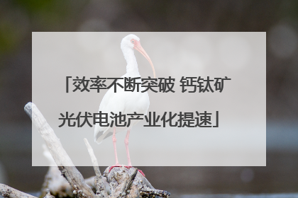 效率不断突破 钙钛矿光伏电池产业化提速