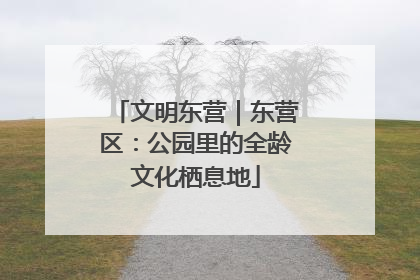 文明东营｜东营区：公园里的全龄文化栖息地