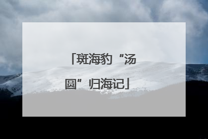 斑海豹“汤圆”归海记