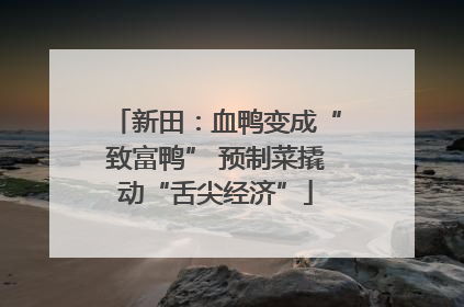 新田：血鸭变成“致富鸭” 预制菜撬动“舌尖经济”