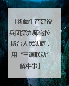 新疆生产建设兵团第九师乌拉斯台人民法庭：用“三调联动”解牛事