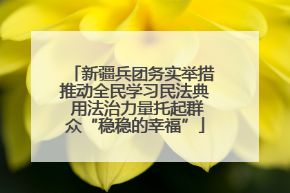 新疆兵团务实举措推动全民学习民法典 用法治力量托起群众“稳稳的幸福”