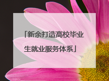 新余打造高校毕业生就业服务体系