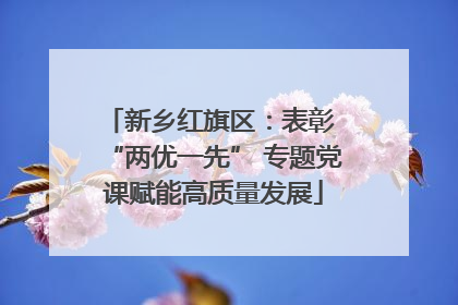 新乡红旗区：表彰 “两优一先” 专题党课赋能高质量发展