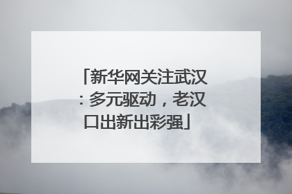 新华网关注武汉：多元驱动，老汉口出新出彩强