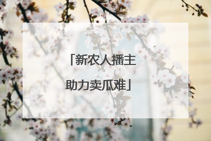 新农人播主 助力卖瓜难