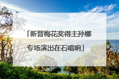 新晋梅花奖得主孙娜专场演出在石唱响
