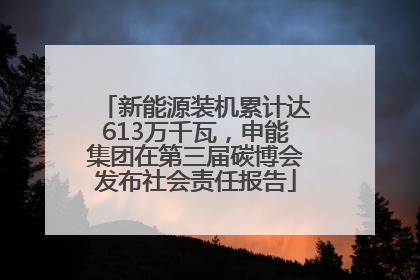 新能源装机累计达613万千瓦，申能集团在第三届碳博会发布社会责任报告