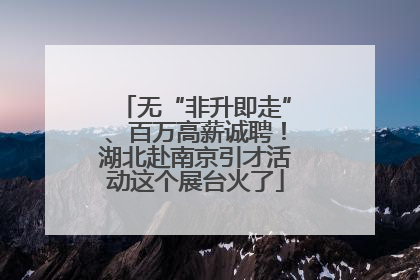无“非升即走”、百万高薪诚聘！湖北赴南京引才活动这个展台火了