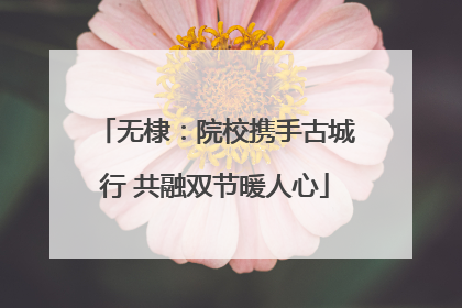 无棣：院校携手古城行 共融双节暖人心