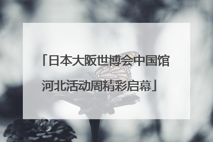 日本大阪世博会中国馆河北活动周精彩启幕