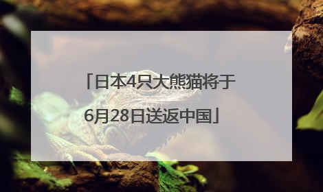 日本4只大熊猫将于6月28日送返中国