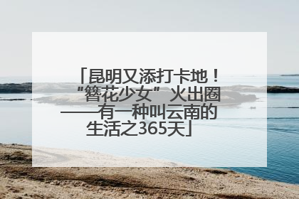 昆明又添打卡地！“簪花少女”火出圈——有一种叫云南的生活之365天