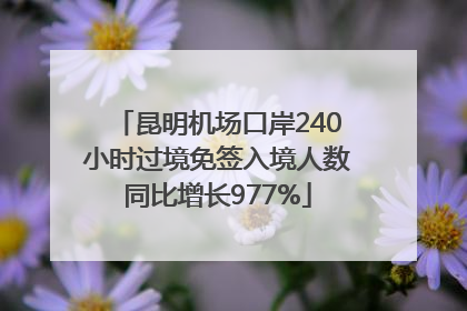 昆明机场口岸240小时过境免签入境人数同比增长977%