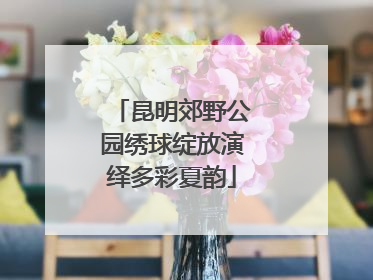 昆明郊野公园绣球绽放演绎多彩夏韵