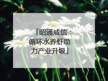昭通威信：循环水养虾助力产业升级