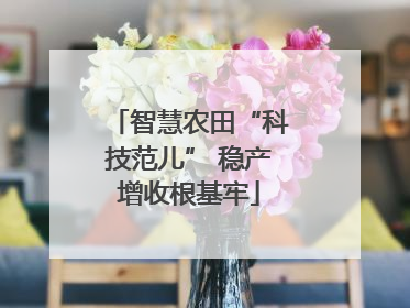 智慧农田“科技范儿” 稳产增收根基牢