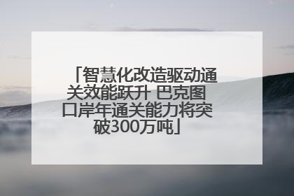 智慧化改造驱动通关效能跃升 巴克图口岸年通关能力将突破300万吨