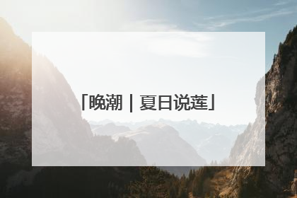 晚潮｜夏日说莲