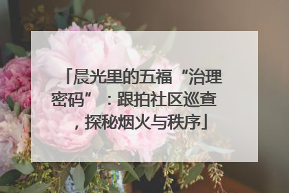 晨光里的五福“治理密码”：跟拍社区巡查，探秘烟火与秩序