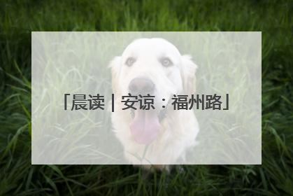 晨读｜安谅：福州路