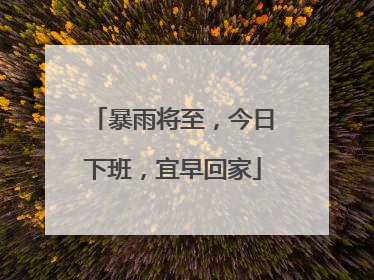 暴雨将至，今日下班，宜早回家