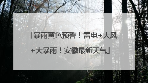 暴雨黄色预警！雷电+大风+大暴雨！安徽最新天气