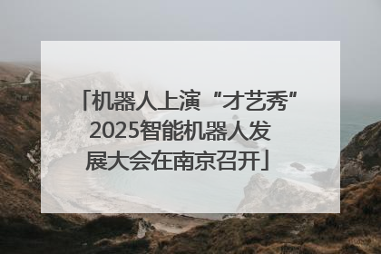 机器人上演“才艺秀” 2025智能机器人发展大会在南京召开