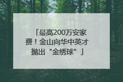 最高200万安家费！金山向华中英才抛出“金绣球”