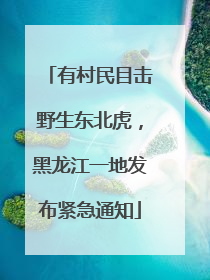 有村民目击野生东北虎，黑龙江一地发布紧急通知